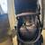 Baby items 6 thumbnail