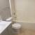 Beautiful fresh Apartment Pasadena 6 thumbnail