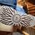 Ugg Bailey Bow Size 7 3 thumbnail