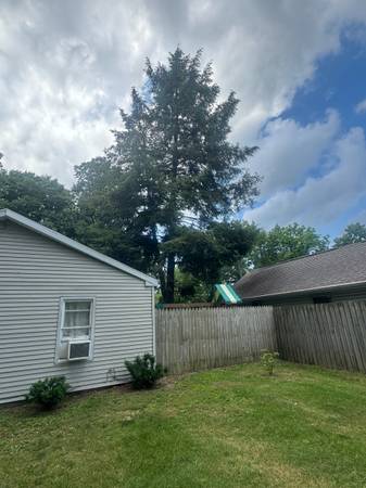 Tree removal wanted 1