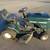 any RIDING MOWER WANTED 1 thumbnail