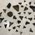 Collection of Shark Teeth and various other Fossils Megalodon 3 thumbnail