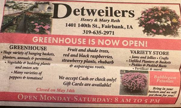 Bedding plants Detweeiler  Greenhouse 1