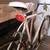 road bike - 10-speed - huffy - 54cm - vintage bike - bicycle 10 thumbnail