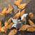 Buff Chantecler Chickens - $30 (Mims) 4 thumbnail