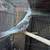 Hermosa cacatua henbra 1 thumbnail