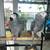 African gray parrot birds 1 thumbnail
