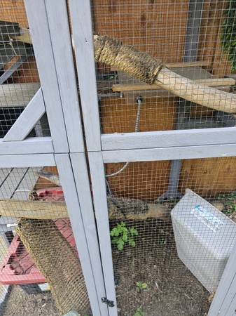 Jaula para iguana (catio convertido) (Fruit Valley)63842374493313123