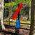 Indoor-Outdoor Organic Sculpture 6 thumbnail