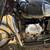 1973 Moto Guzzi Eldorado 4LS 20 thumbnail