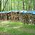 Firewood Hardwood Split-Seasoned 2 thumbnail