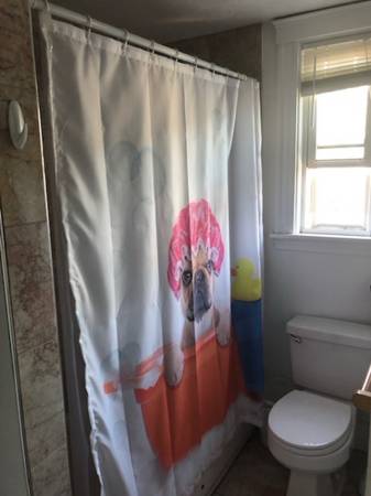$925 / 800ft2 - $925 BR available 10/1 in 3 BR apt, Jamaica Plain (Jamaica Plain)63828557900801124