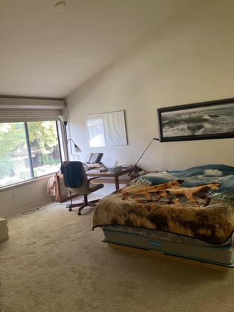 Beautiful clean master bedroom with pool and jaquzi 1