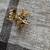 Authentic EFFY Watercolors 14K Gold Multi-Sapphire Starfish Earrings 4 thumbnail