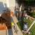 Huge Garage Sale - Multiple Houses 4 thumbnail