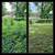 Lawncare 3 thumbnail