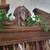 Canopy Bed, Stunning! 3 thumbnail