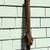 Vintage Lge Natural Bentwood Owl Wall Décor, Mid-Century ca. 1962 10 thumbnail