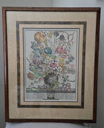 Botanical framed prints - set of 4 1