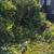 Tree service,retaining walls,patios,brush removal and so much more!!! 10 thumbnail