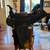 16" Western Trail Saddle 1 thumbnail
