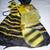 Lots of Beautiful, Fancy Party Halloween and Fall Decorations 8 thumbnail