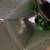 genesis MSR archery bow 7 thumbnail