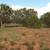 Enjoy Peace & Quiet! 1.14 Acre Land – Off-Grid Living Made Easy! 2 thumbnail
