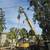 CRANE TREE REMOVAL 8 thumbnail