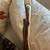 Bodnik Super Quick Stick Longbow..LH 35# 5 thumbnail