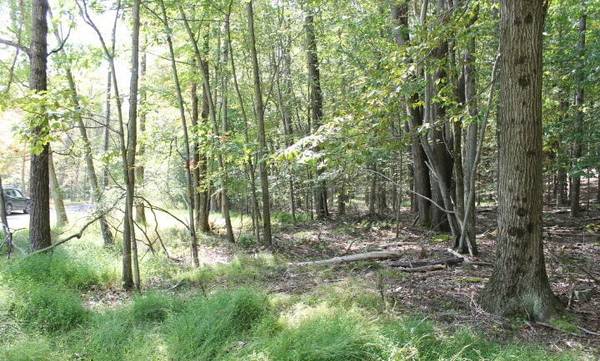 wooded lot 0.26 acres - arrowhead lake community 1