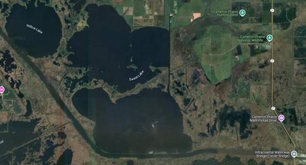DUCK/WATERFOWL DEER HUNTING LAND FOR SALE  - CAMERON PARISH LOUISIANA 1