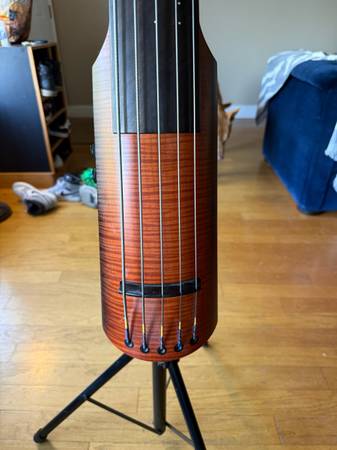 NS Design NXT 5-String Electric Upright Bass 1