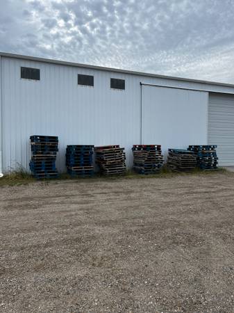 FREE Pallets 1