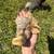 Pasture Raised Chickens! 17 thumbnail