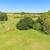 10 Acres – Homesite, Mobile, or Farm Use – Priced to Move 8 thumbnail