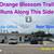 Car Lot For Lease on 2 Frontages in Prime Orlando Location 7 thumbnail