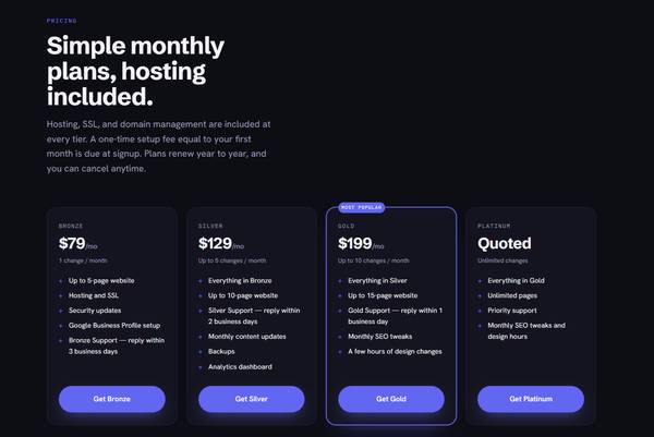 DFW Web Design + Hosting from $79/mo | Google Business Setup Included 1