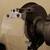 Buffalo Heavy-Duty Ball Bearing Bench Grinder with Stand 4 thumbnail