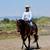 Holiday Horse Boarding Stables 9 thumbnail