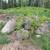Landscaping Rocks 2 thumbnail