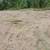 Land Clearing Brush Cutting 1 1/2 acres Wooded Area 7 thumbnail