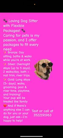 Para ti y tu cachorro (Branford)63992990166018120