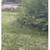 Yard Care ,Tenants care, General  Handy repair person 4 thumbnail