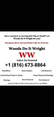 🧰🚛🌳Woods Do It Wright Labor On Demand (Any Location 24/7) 1