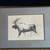 Framed & Matted Wildlife Sketch W.D. Berry (4 to Choose From) 2 thumbnail