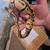Male Super Pastel/pos yellow belly het Clown BP 2 thumbnail