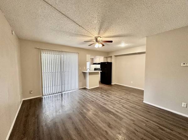 THE AUSTIN EXPERIENCE | MODERN INTERIOR | WOOD FLOORS | BACKYARDS! 1