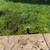 Valle Landscaping We offer gardening and landscaping services. Free estimate. 1 thumbnail