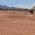 3 year old AQHA stud 10 thumbnail